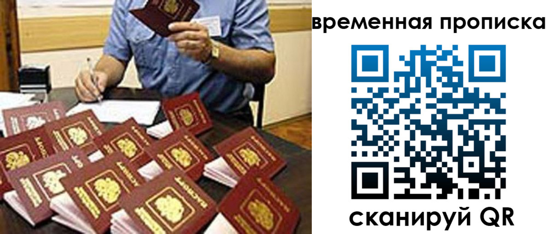 прописка для школы в Болотном
